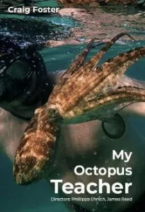 My Octopus Teacher บทเรียนจากปลาหมึก (2020) NETFLIX บรรยายไทย