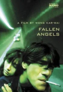 Fallen Angels (Do lok tin si) นักฆ่าตาชั้นเดียว (1995) บรรยายไทย
